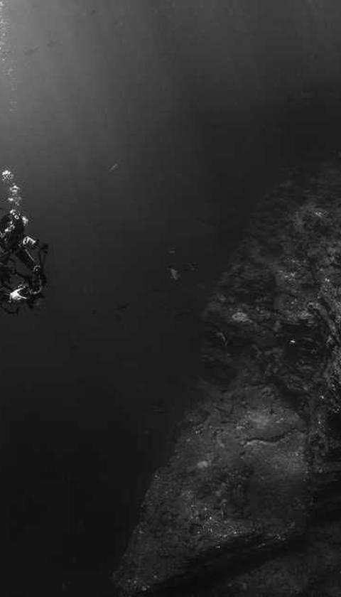 Reference placeholder